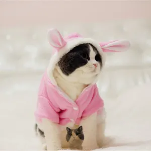 Warm Comfortable Cat Suit