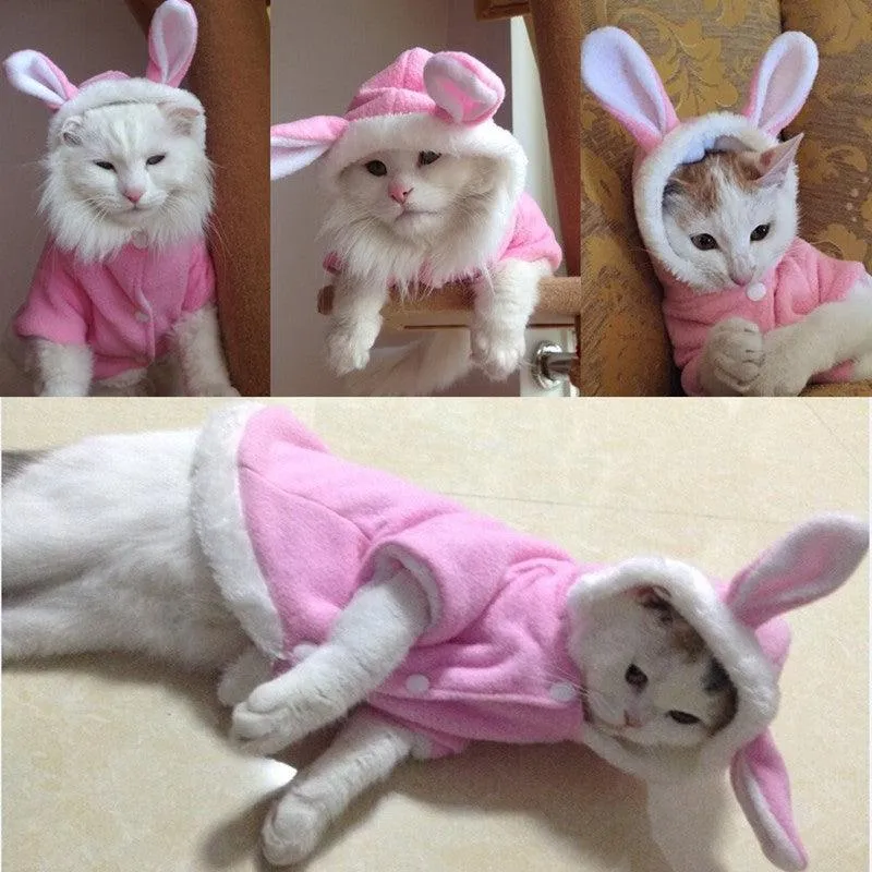 Warm Comfortable Cat Suit
